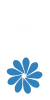 公司風(fēng)采